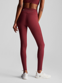 Спортивні леггінси Adidas модель IW9899 Спортивні леггінси Adidas модель IW9899 Фото