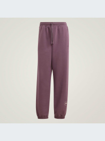 Джоггеры Adidas модель IW9856 Фото