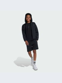 Кофта Adidas ZNE модель JF2847 Фото