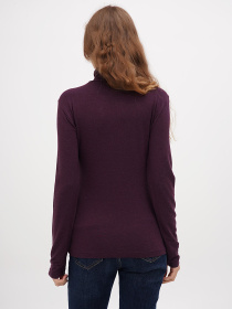 Водолазка Sassofono модель A271-SF-1378_фиолетовый Фото