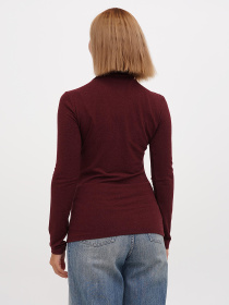 Водолазка Sassofono модель A271-SF-1378_бордовый Фото
