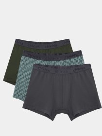 Набір трусів Chikiss модель 3CMH002-03 Фото