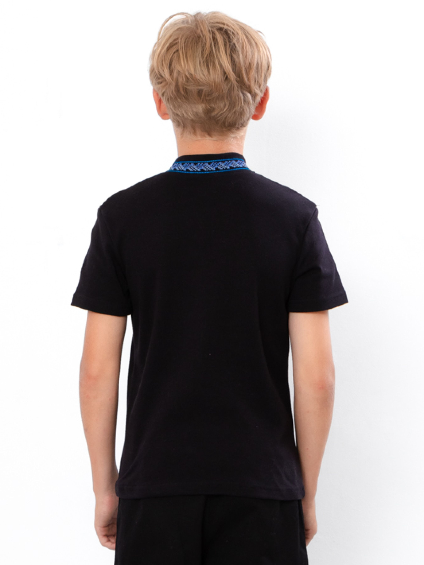 Вышитая рубашка Носи своє модель 6127-015-22-1-zhovto-blakitnij Фото