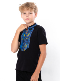 Вишита сорочка Носи своє модель 6127-015-22-1-zhovto-blakitnij Фото