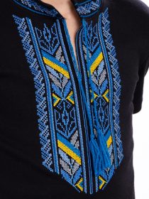 Вишита сорочка Носи своє модель 6127-015-22-1-zhovto-blakitnij Фото