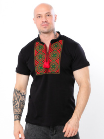 Вишита сорочка Носи своє Модель 8606-015-22-1-chervonij-zelenij Фото