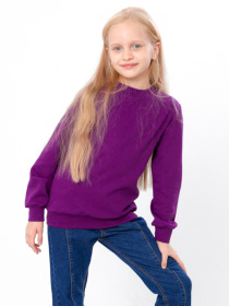 Свитшот Носи своє модель 6069-023-5-baklazhan Фото