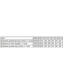 Свитшот Носи своє модель 6069-023-5-baklazhan Фото