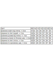 Спортивный костюм Носи своє модель 6018-023-33-6-temna-bryuza-boom Фото