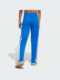 Брюки Adidas Adicolor модель IY2124-KZ Фото