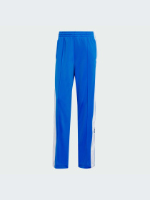 Брюки Adidas Adicolor модель IY2124-KZ Фото