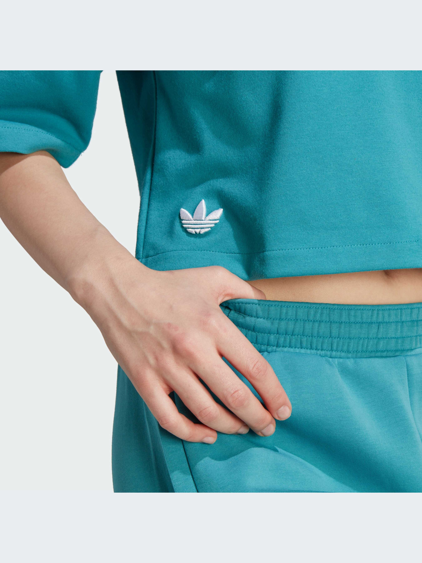 Брюки Adidas Adicolor модель IL6662-KZ Фото