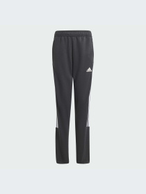 Брюки Adidas Tiro модель IS4348-KZ Фото