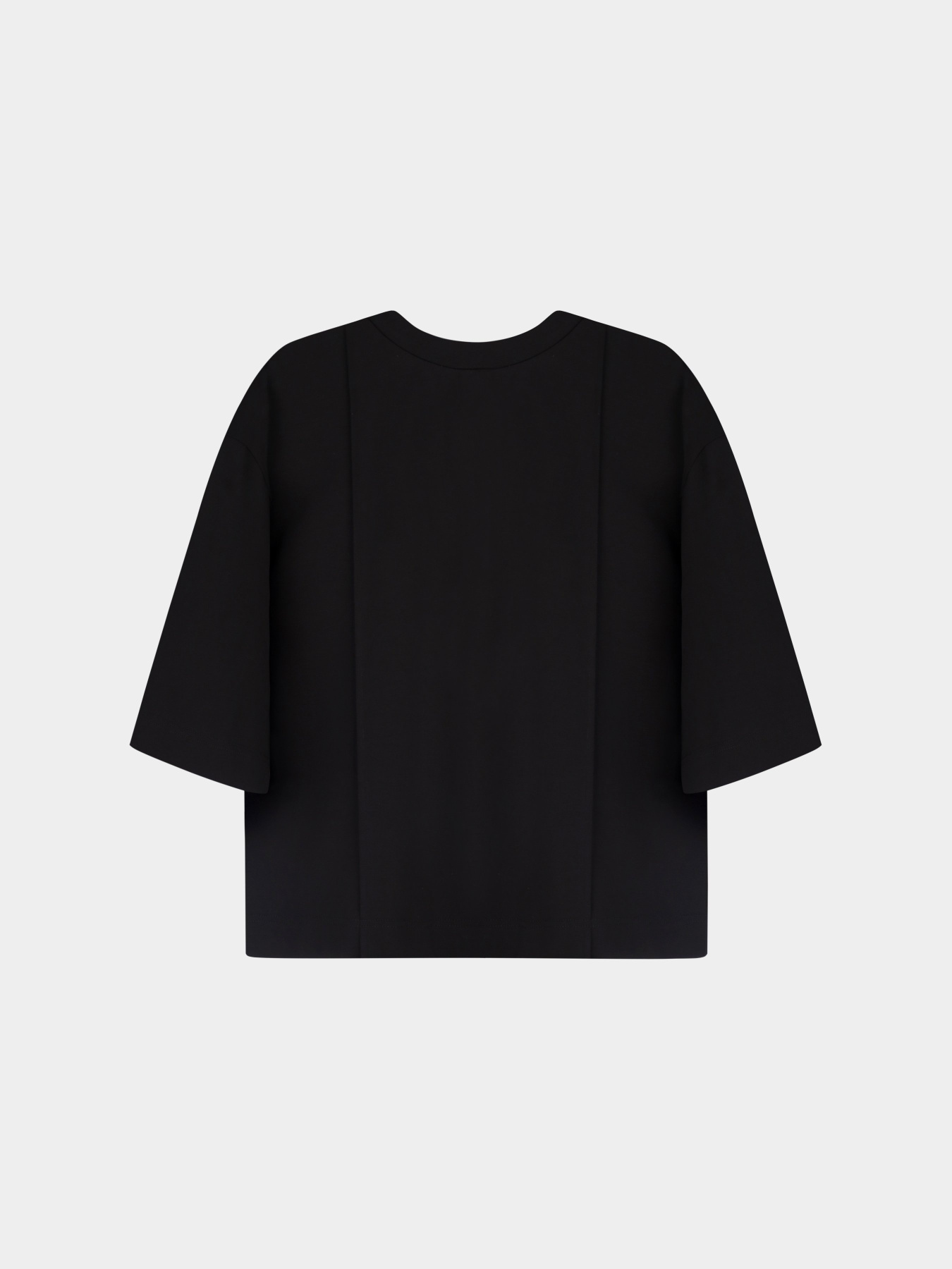 Футболка IrAro модель IR_FW24_BT_011 Фото