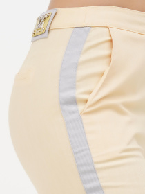 Повсякденні штани Sassofono модель A272-SF-1618_Жовтий Фото