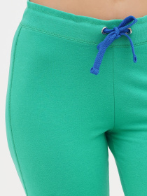 Джоггеры Sassofono модель A272-SC-1777_Зелений Фото