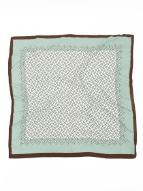 Платок Famo модель APL-333_01 Фото