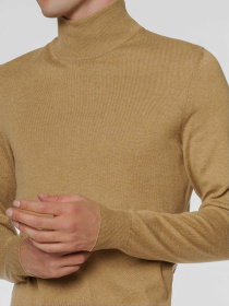 Водолазка Arber модель M10.08.16.431 Фото