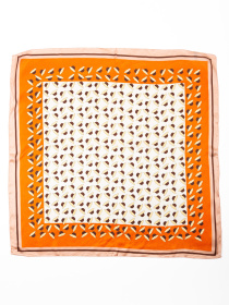 Платок Famo модель APL-244_03 Фото