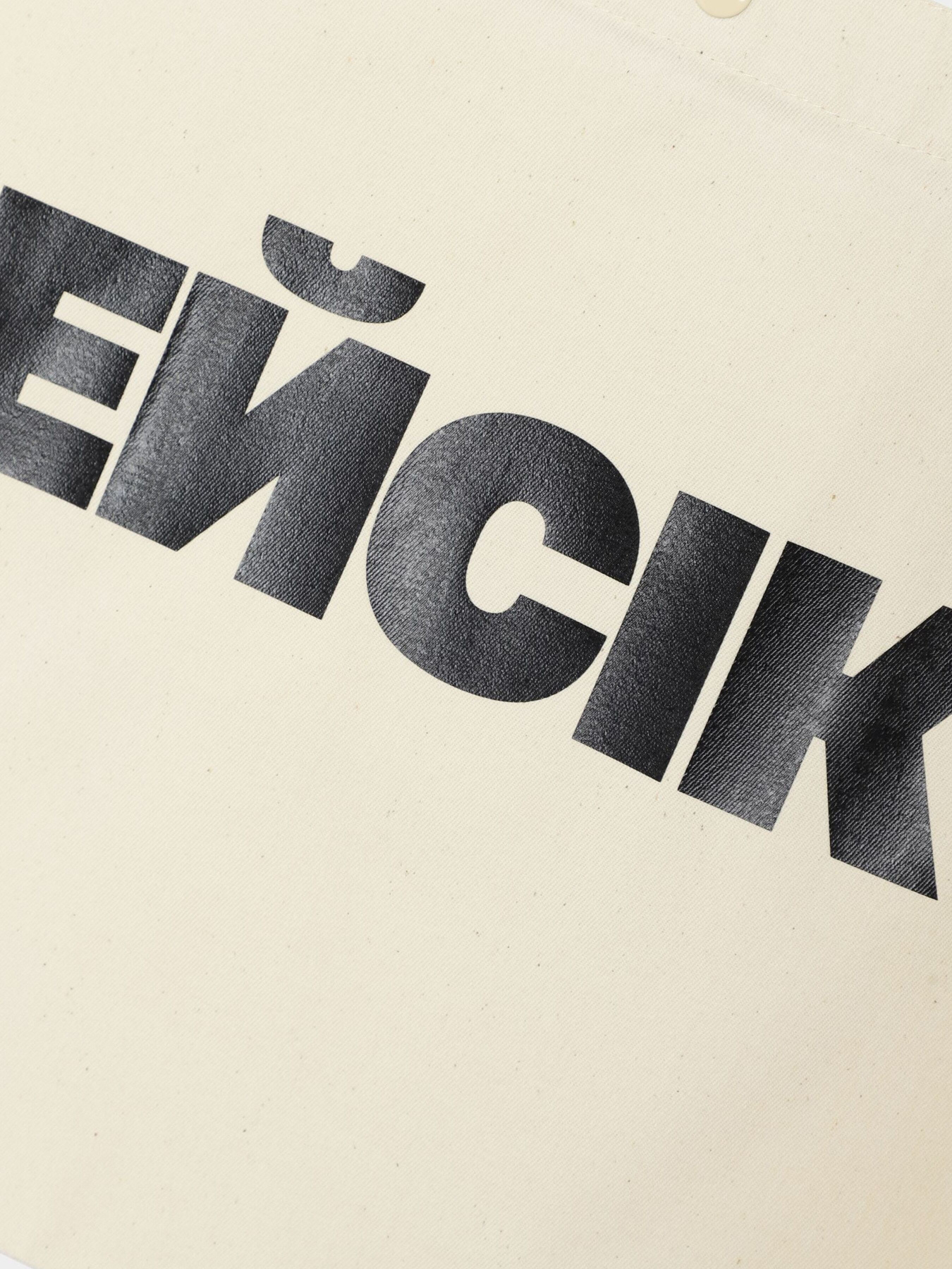 Шоппер Ейсік модель MaxiBezLogo Фото