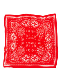 Платок Famo модель APL-2027_01 Фото