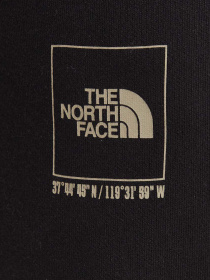 Брюки The North Face модель NF0A89DBJK31 Фото