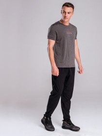 Футболки і поло Peak модель FW602267-DKG Фото