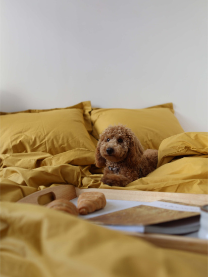 BedclozZzes ­Комплект постільної білизни з тканини Ранфорс колір Медовий модель 3946 — фото - INTERTOP