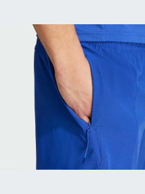 Шорты спортивные Adidas модель IX9117 Фото