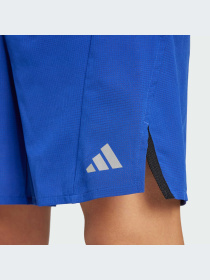 Шорты спортивные Adidas модель IX9117 Фото