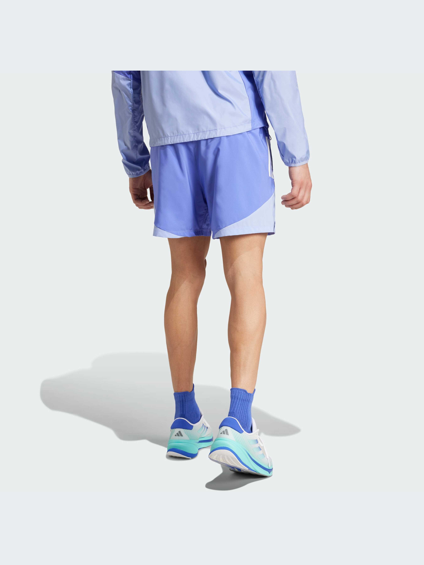 Спортивні шорти Adidas модель IW0036 Фото