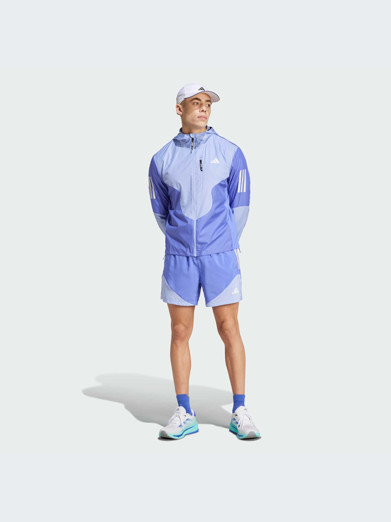 Спортивні шорти Adidas модель IW0036 Фото