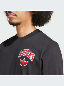 Футболка Adidas Graphics модель IX6760 Фото