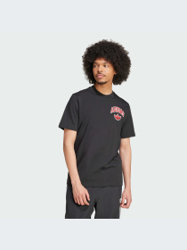 Футболка Adidas Graphics модель IX6760 Фото