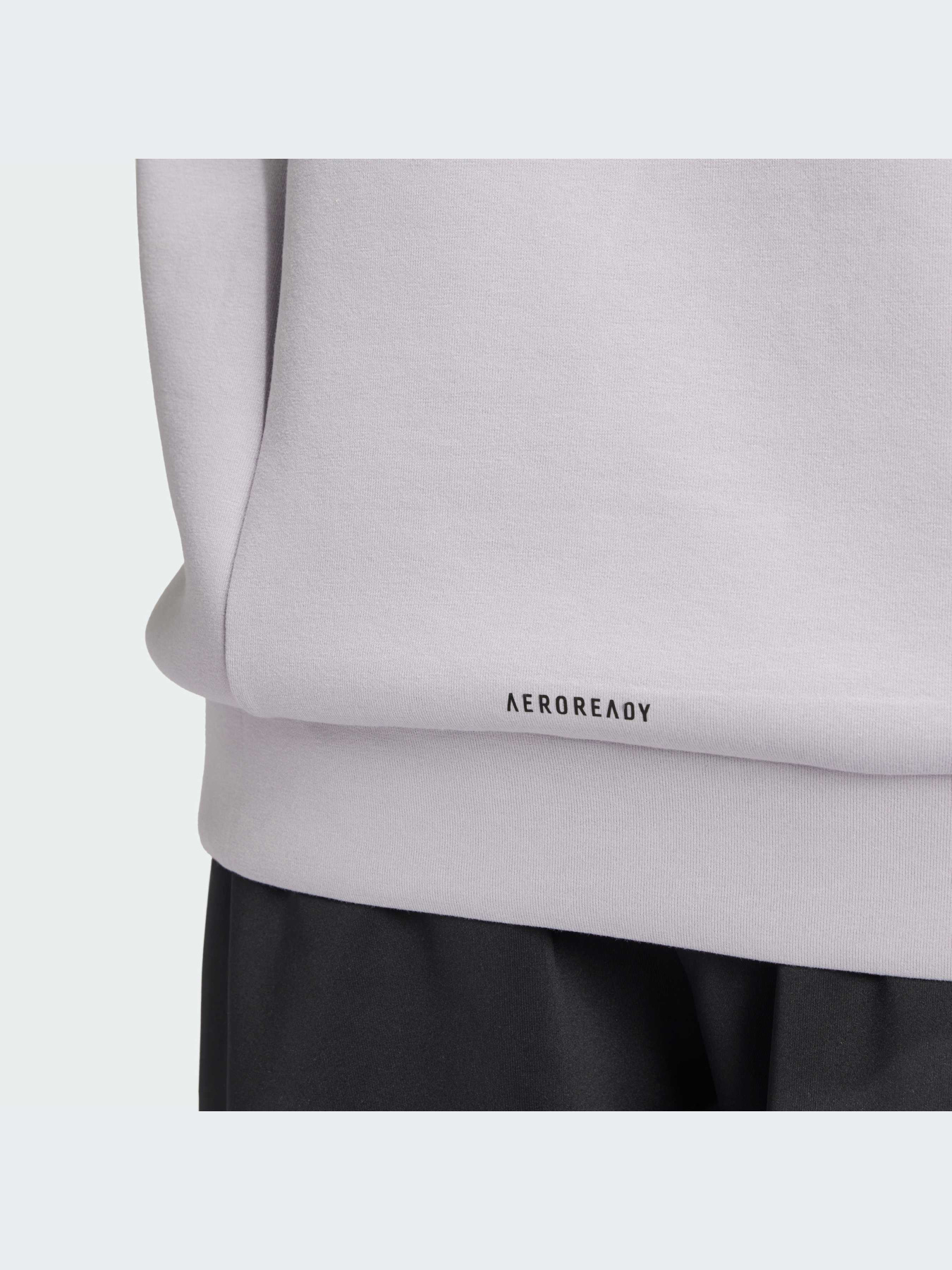 Спортивная кофта Adidas Clima модель IY1120 Фото