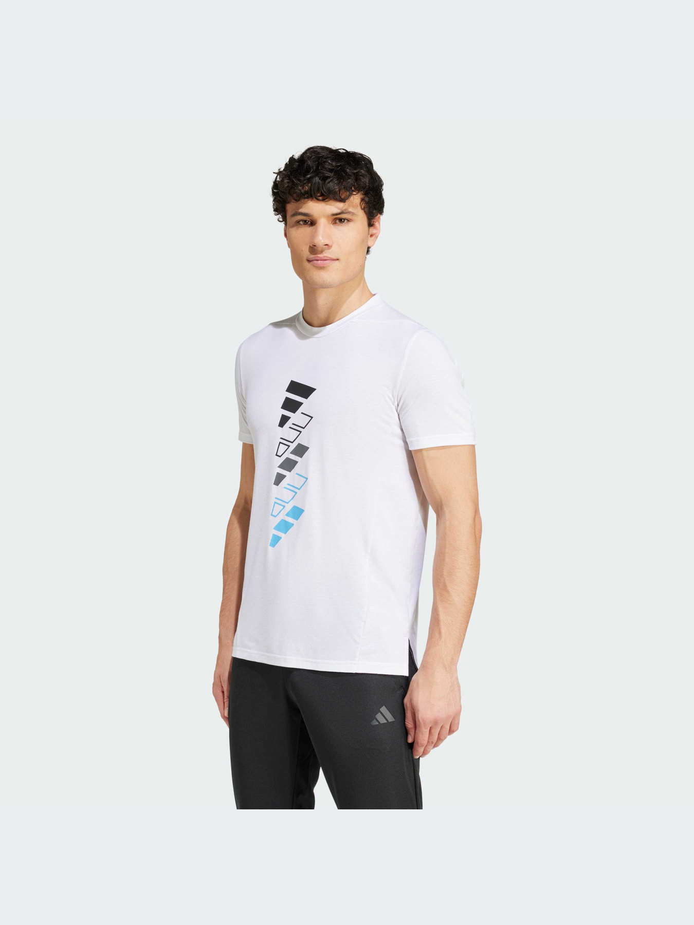 Футболка спортивная Adidas модель IW0140 Фото