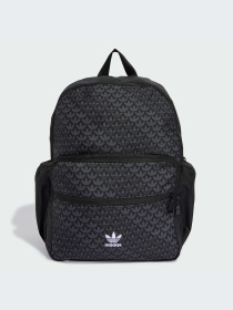 Повседневный рюкзак Adidas Graphics модель IX6828 Фото