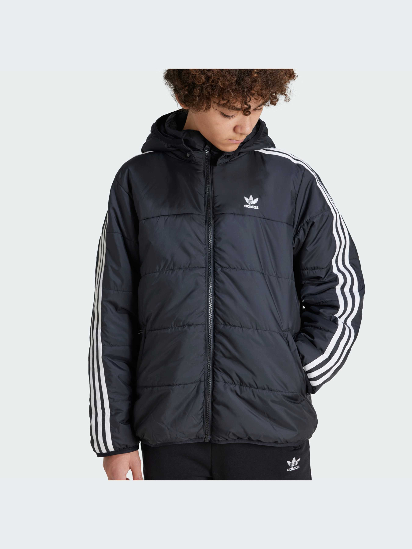 Ветровка Adidas Adicolor модель IY7497 Ветровка Adidas Adicolor модель IY7497 Фото