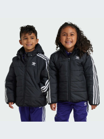 Ветровка Adidas Adicolor модель IY4812 Фото