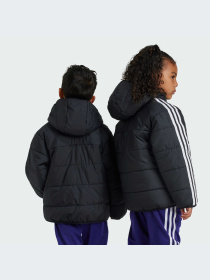 Вітровка Adidas Adicolor модель IY4812 Фото