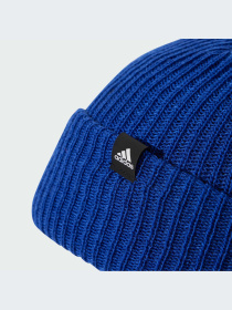 Шапка Adidas модель IY5582 Фото