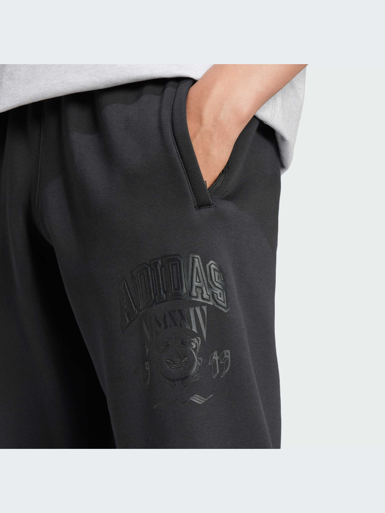 Джоггеры Adidas Graphics модель IZ2565 Фото