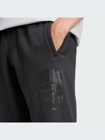 Джоггеры Adidas Graphics модель IZ2565 Фото