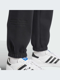Штани Adidas Graphics модель IZ2565 Фото