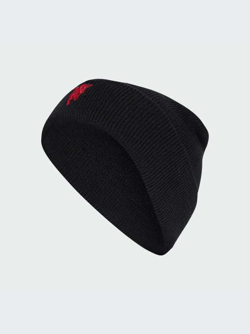 Шапка Adidas модель IY0437 Фото