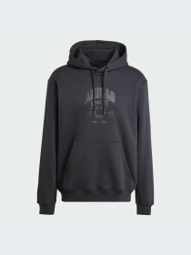 Худи Adidas Graphics модель IZ2566 Фото