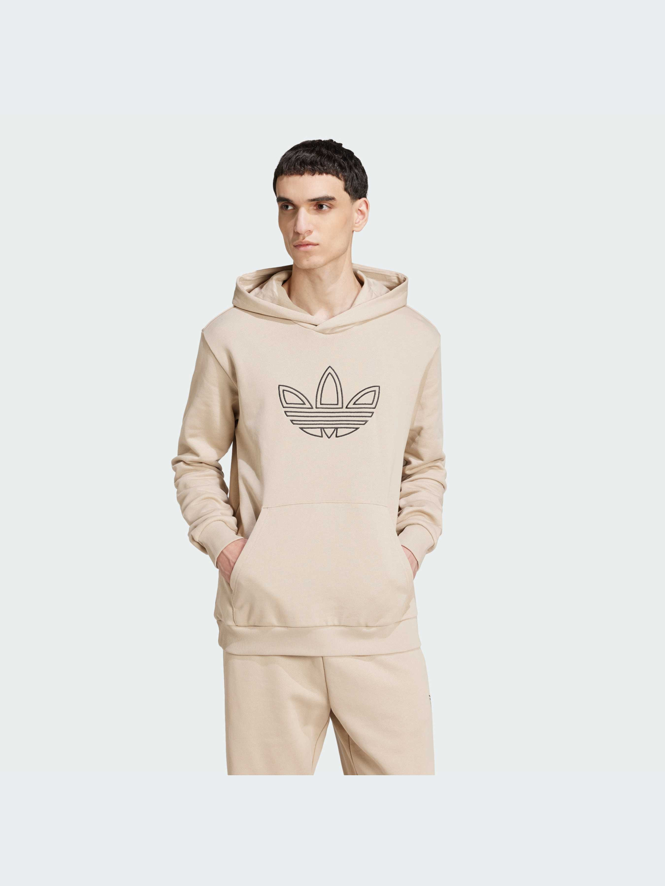 Худі Adidas Adicolor модель JJ1505 Фото