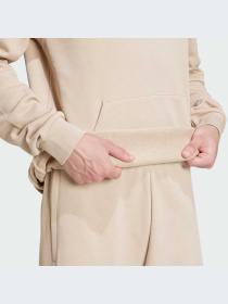 Худі Adidas Adicolor модель JJ1505 Фото