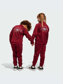 Костюм Adidas Graphics модель IJ0742 Фото