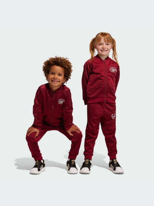 Повседневный костюм Adidas Graphics модель IJ0742 Фото